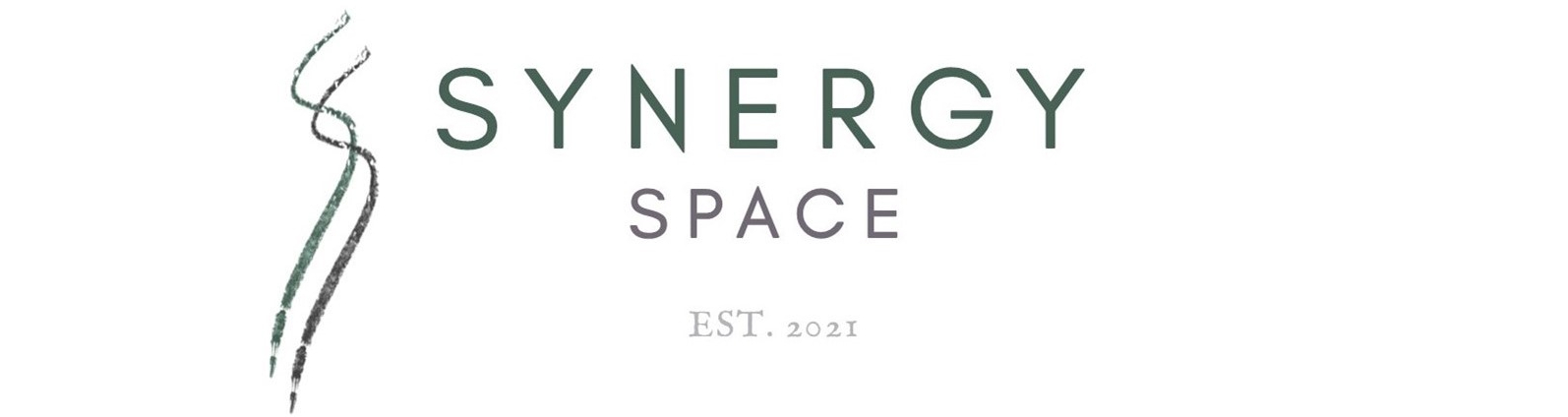 synergy space, dance studio, dance classes, carroll county, maryland, westminster
